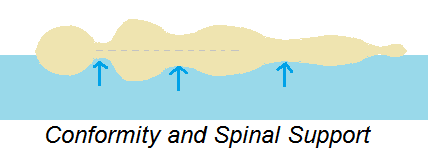 Conformity and spinal support