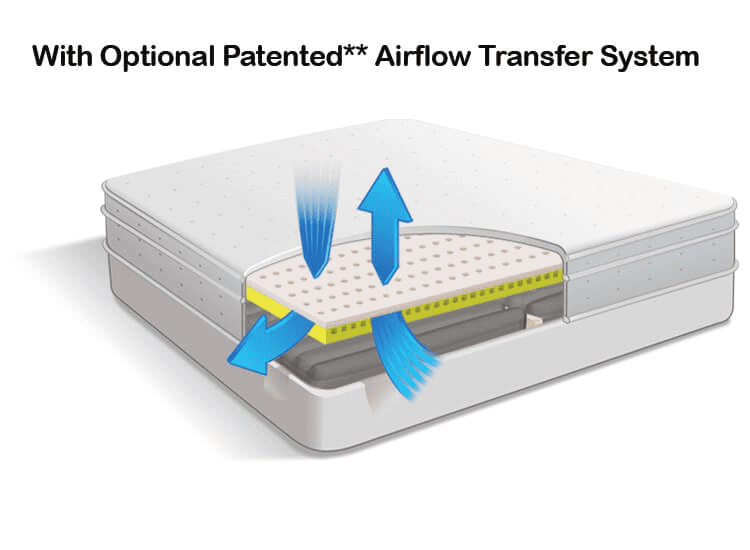Airflow Transfer System in Air-Pedic 500