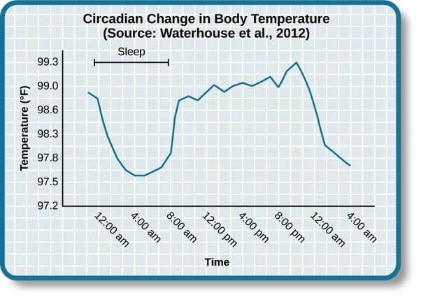 Circadian Change in Body Temperature