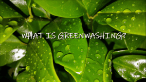 What is Greenwashing